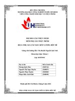 IUH | BÀI BÁO CÁO THỰC HÀNH PHỤ GIA THỰC PHẨM | PHỤ GIA CẢI TẠO CHẤT LƯỢNG BỘT MÌ