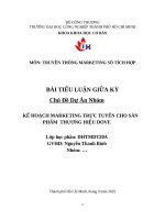 KẾ HOẠCH MARKETING TRỰC TUYẾN CHO SẢN PHẨM THƯƠNG HIỆU DOVE
