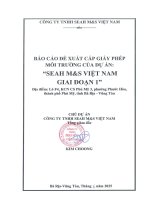 Báo cáo Đề xuất cấp giấy phép môi trường của dự Án seah m&s việt nam giai Đoạn 1