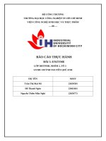IUH - BÁO CÁO THỰC HÀNH - ENZYME