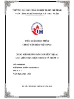 IUH -  TIỂU LUẬN CƠ SỞ VĂN HÓA VIỆT NAM -