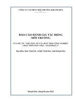 Báo cáo Đánh giá tác Động môi trường dự Án “nhà máy xử lý chất thải công nghiệp, chất thải nguy hại giai Đoạn 3”