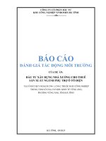 Báo cáo Đánh giá tác Động môi trường dự Án Đầu tư xây dựng nhà xưởng cho thuê sản xuất ngành phụ trợ Ô tô Điện