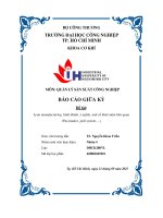 IUH - Báo cáo giữa kỳ Quản lý sản xuất công nghiệp