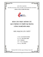 IUH - BÁO CÁO THỰC HÀNH CÁC QUÁ TRÌNH VÀ THIẾT BỊ TRONG CÔNG NGHỆ HÓA HỌC - MẠCH LƯU CHẤT