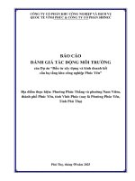 Báo cáo Đánh giá tác Động môi trường dự Án Đầu tư xây dựng và kinh doanh kết cấu hạ tầng kcn phúc yên
