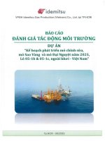 Báo cáo Đánh giá tác Động môi trường dự Án kế hoạch phát triển mỏ chỉnh sửa mỏ sao vàng và mỏ Đại nguyệt năm 2025
