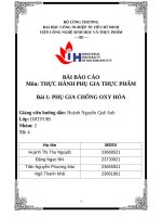 IUH - BÀI BÁO CÁO THỰC HÀNH PHỤ GIA THỰC PHẨM - PHỤ GIA CHỐNG OXY HÓA