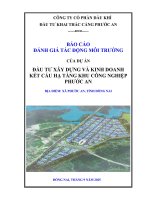 Báo cáo Đánh giá tác Động môi trường dự Án Đầu tư xây dựng và kinh doanh kết cấu hạ tầng kcn phước an