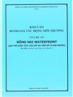 Báo cáo Đánh giá tác Động môi trường của dự Án Đồng nai water front