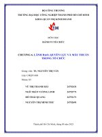 IUH - Tiểu luận Hành vi tổ chức - Lãnh đạo, quyền lực và mâu thuẫn trong tổ chức
