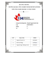 IUH - BÁO CÁO THỰC HÀNH PHỤ GIA THỰC PHẨM - PHỤ GIA CẢI TẠO CHẤT LƯỢNG BỘT MÌ