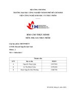 IUH - BÁO CÁO THỰC HÀNH PHỤ GIA THỰC PHẨM - PHỤ GIA TẠO NHŨ