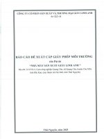 Báo cáo Đề xuất cấp giấy phép môi trường của dự Án nhà máy sản xuất giấy linh anh