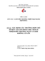 IUH - TIỂU LUẬN LUẬT BỒI THƯỜNG THIỆT HẠI NGOÀI HỢP ĐỒNG - XÁC ĐỊNH CÁC TRƯỜNG HỢP CHỦ SỞ HỮU TÀI SẢN PHẢI CHỊU TRÁCH NHIỆM BỒI THƯỜNG NGAY CẢ KHI KHÔNG CÓ LỖI