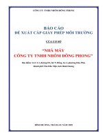 Báo cáo Đề xuất cấp gpmt của công ty tnhh nhôm Đông phong