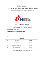 IUH - BÁO CÁO THỰC HÀNH PHỤ GIA THỰC PHẨM - PHỤ GIA CHỐNG OXY HÓA
