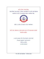 IUH - TIỂU LUẬN LUẬT KINH TẾ VỀ SỞ HỮU TRÍ TUỆ - BÌNH LUẬN BẢN ÁN VỀ TRANH CHẤP NHÃN HIỆU