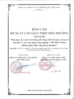 Báo cáo Đề xuất cấp gpmt của công ty tnhh ctc vải không dệt việt nam