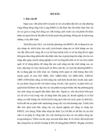 Tiểu luận - Phân tích các doanh nghiệp cung cấp dịch vụ Logistics nông sản tại vùng đồng bằng sông Cửu Long