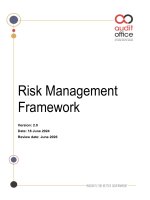 Risk management framework