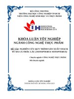 IUH - KHÓA LUẬN TỐT NGHIỆP NGÀNH CÔNG NGHỆ THỰC PHẨM - NGHIÊN CỨU QUY TRÌNH SẢN XUẤT SNACK TỪ DA CÁ THÁC LÁC  (NOTOPTERUS NOTOPTERUS)
