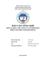 Báo cáo tổng hợp   lê việt anh   11220282
