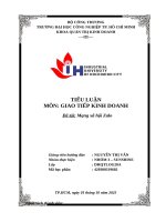 IUH - TIỂU LUẬN GIAO TIẾP KINH DOANH - Mạng xã hội Zalo