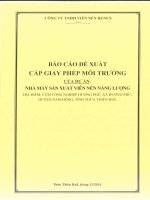 Báo cáo Đề xuất cấp giấy phép môi trường dự Án nhà máy sản xuất viên nén năng lượng