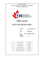 IUH - TIỂU LUẬN QUẢN TRỊ THƯƠNG HIỆU