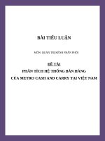 Tiểu luận - QUẢN TRỊ KÊNH PHÂN PHỐI - đề tài - PHÂN TÍCH HỆ THỐNG BÁN HÀNG CỦA METRO CASH AND CARRY TẠI VIỆT NAM