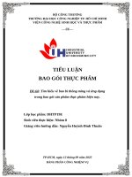 IUH - TIỂU LUẬN BAO GÓI THỰC PHẨM - Tìm hiểu về bao bì thông ming và ứng dụng trong bao gói sản phẩm thực phẩm hiện nay.