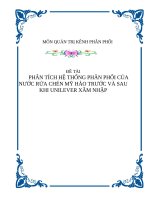Tiểu luận - QUẢN TRỊ KÊNH PHÂN PHỐI - đề tài - PHÂN TÍCH HỆ THỐNG PHÂN PHỐI CỦA NƯỚC RỬA CHÉN MỸ HẢO TRƯỚC VÀ SAU KHI UNILEVER XÂM NHẬP