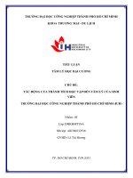 IUH - Tiểu luận Tâm lý học đại cương - Tác động của thành tích học tập đến tâm lý của sinh viên IUH