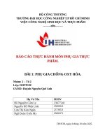 IUH - BÁO CÁO THỰC HÀNH MÔN PHỤ GIA THỰC PHẨM - PHỤ GIA CHỐNG OXY HÓA.