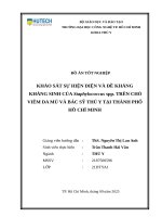 HUTECH - ĐỒ ÁN TỐT NGHIỆP - KHẢO SÁT SỰ HIỆN DIỆN VÀ ĐỀ KHÁNG KHÁNG SINH CỦA Staphylococcus spp. TRÊN CHÓ VIÊM DA MỦ VÀ BÁC SỸ THÚ Y TẠI THÀNH PHỐ HỒ CHÍ MINH