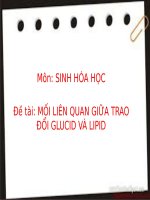 Tiểu luận - SINH HÓA HỌC - đề tài - MỐI LIÊN QUAN GIỮA TRAO ĐỔI GLUCID VÀ LIPID