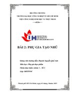 IUH - Phụ gia tạo nhũ