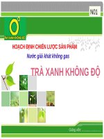 Tiểu luận  - quản trị marketing - đề tài - HOẠCH ĐỊNH CHIẾN LƯỢC SẢN PHẨM - Nước giải khát không gas - Trà Xanh Không Độ