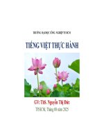 IUH - Bài giảng - Tiếng Việt thực hành