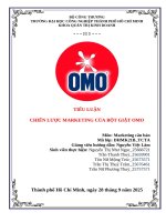 IUH - TIỂU LUẬN Marketing căn bản - CHIẾN LƯỢC MARKETING CỦA BỘT GIẶT OMO