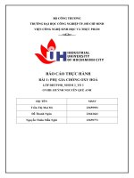 IUH - Phụ gia chống oxy hóa