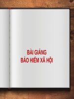 Bài giảng  - Bảo hiểm xã hội ( combo full slides 5 chương )