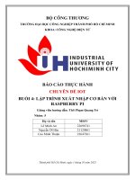 IUH - Lập trình nhập xuất cơ bản với RASPBERRY PI