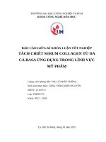 BÁO CÁO GIỮA KÌ KHÓA LUẬN TỐT NGHIỆP - TÁCH CHIẾT SERUM COLLAGEN TỪ DA CÁ BASA ỨNG DỤNG TRONG LĨNH VỰC MỸ PHẨM