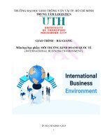 UTH - Giáo trình - Môi trường kinh doanh quốc tế