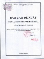 Báo cáo Đề xuất cấp lại giấy phép môi trường của dự Án nhà máy credible