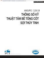 Tieuchuanansi pci 18 2019 vi