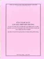 Báo cáo Đề xuất cấp giấy phép môi trường của dự Án nhà máy cơ khí chế tạo thiết bị xử lý môi trường, sản xuất linh kiện, phụ tùng ngành cơ khí chế tạo, thiết bị