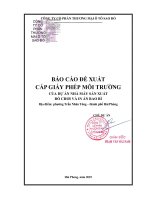 Báo cáo Đề xuất cấp giấy phép môi trường của dự Án nhà máy sản xuất Đồ chơi và in Ấn bao bì
